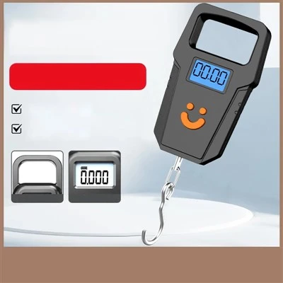 Electronic Portable Scale factory